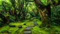 Magical Mossy Forest with Stone Pathway and Overhanging Ancient Trees Keywords: forest, path, stone pathway, moss Royalty Free Stock Photo