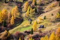 Magical mystic autumn landscape in the Dolomites, South Tyrol, Alps, Italy. Meditation, rest, calm, anti-stress, relaxation -