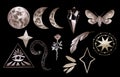 Magical and mystical characters. Stock illustration with moon phases, rose, stars, feather and night butterfly. Royalty Free Stock Photo