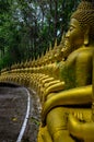 Magical natural place with a row of golden Buddhas.