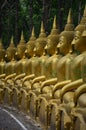Magical natural place with a row of golden Buddhas.