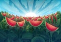 Magical nature landscape with red sweet watermelon field, fruit garden, ripe large berries, bright shining sun, blue sky, fantasy