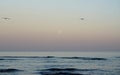 Magical ocean. Moonrise over the ocean. full moon evening Royalty Free Stock Photo