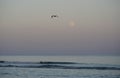 Magical ocean. Moonrise over the ocean. full moon evening Royalty Free Stock Photo