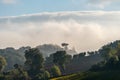 Magical outline of a misty valley in the morning landscape, the countryside of Tuscany, Italy, Europe Royalty Free Stock Photo