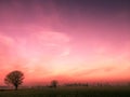 Magical pink sunset over rural landscape Royalty Free Stock Photo