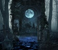 Magical portal in the forest with the castle in the moonlight