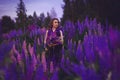 A magical portrait of a young girl in a gradient dress in a purple-pink lupine field at night. Royalty Free Stock Photo