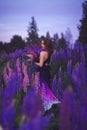 A magical portrait of a young girl in a gradient dress in a purple-pink lupine field at night. Royalty Free Stock Photo