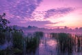 Magical purple sunrise over the lake