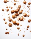 Magical Rain of Hazelnuts: A Stunning Study on a White Canvas