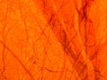 Magical red purple orange yellow color gradient glass surface with fine texture