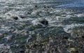 Magical scenery of rainforest and river with rocks. Wild, vivid vegetation of tropical forest