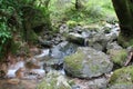 Magical Scenic Creek Flowing Through Mountain After Rain Storm Royalty Free Stock Photo