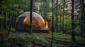 A magical sleep escape awaits in the heart of the forest where a geodesic dome serves as a tranquil oasis for those