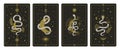 Magical snakes tarot cards. Occult hand drawn tarot cards, esoteric spiritual snakes wisdom symbol cards vector