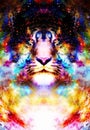 Magical space tiger, multicolor computer graphic collage.
