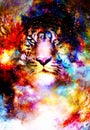 Magical space tiger, multicolor computer graphic collage.