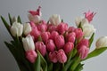 Magical spring bouquet with colorful origami cranes on beautiful pink and white tulip flowers. Stock Photo