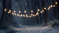 Magical string lights illuminate dark snowy forest path Royalty Free Stock Photo
