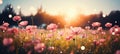 Magical summer affair blurred bokeh with vibrant blooming wildflowers in a dreamy landscape Royalty Free Stock Photo