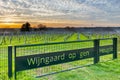 Magical sunset with a dramatic cloudscape in the rolling hills and the vineyards of Wijngaard op gen Heugde in South Limburg