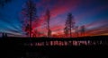 Magical sunset at the lake in Sweden