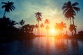 Magical sunset on a tropical beach with silhouettes of palm trees. Nature. Royalty Free Stock Photo