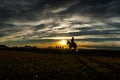 The woman is riding the horse at sunset.