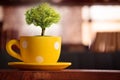 Magical tree in yellow cup at library - Abstract