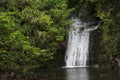 Magical Waterfall in New Zealand