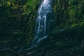 A magical waterfall in Oregon Royalty Free Stock Photo