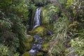 Magical waterfall and rocks covered with moss in forest environment