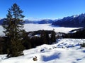 Magical winter landscape with fog inversion weatheres in the Alps - Vorarlberg Austria Europe Royalty Free Stock Photo