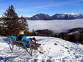 Magical winter landscape with fog inversion weatheres in the Alps - Vorarlberg Austria Europe Royalty Free Stock Photo