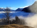 Magical winter landscape with fog inversion weatheres in the Alps - Vorarlberg Austria Europe Royalty Free Stock Photo