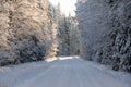 Magical winter landscape. A path between snowy trees in the forest Royalty Free Stock Photo