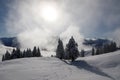 Magical winter landscape with rising fog and the sun against the light in central Switzerland Royalty Free Stock Photo