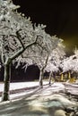 Magical winter park a fairy tale, mystery. Winter snow park alley night lights landscape. Snow at winter night park alley panorama Royalty Free Stock Photo