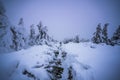 Magical winter scenery with frozen trees covered with white snow. Royalty Free Stock Photo