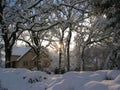 Victoria, Vancouver Island, Snowy Winter Morning in Oak Bay, British Columbia, Canada Royalty Free Stock Photo