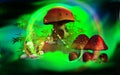 A magical world in dark mushroom`s house