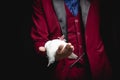 Magician man shows trick with trained white dove bird