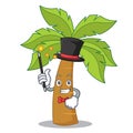 Magician palm tree character cartoon Royalty Free Stock Photo