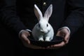 Magician pulling rabbit from black hat close-up Royalty Free Stock Photo