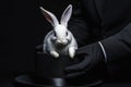 Magician pulling rabbit from black hat close-up Royalty Free Stock Photo