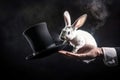 Magician pulling rabbit from black hat close-up Royalty Free Stock Photo
