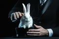 Magician pulling rabbit from black hat close-up Royalty Free Stock Photo