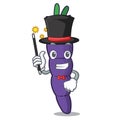 Magician purple carrot slices in cartoon shape