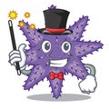 Magician purple starfish the cartoon above sand